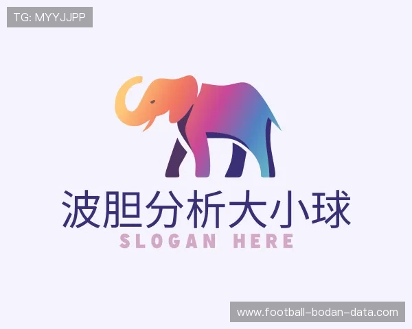 了解波胆其他比分是什么意思